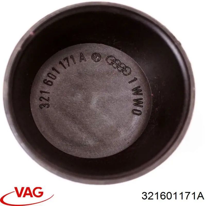  321601171A VAG