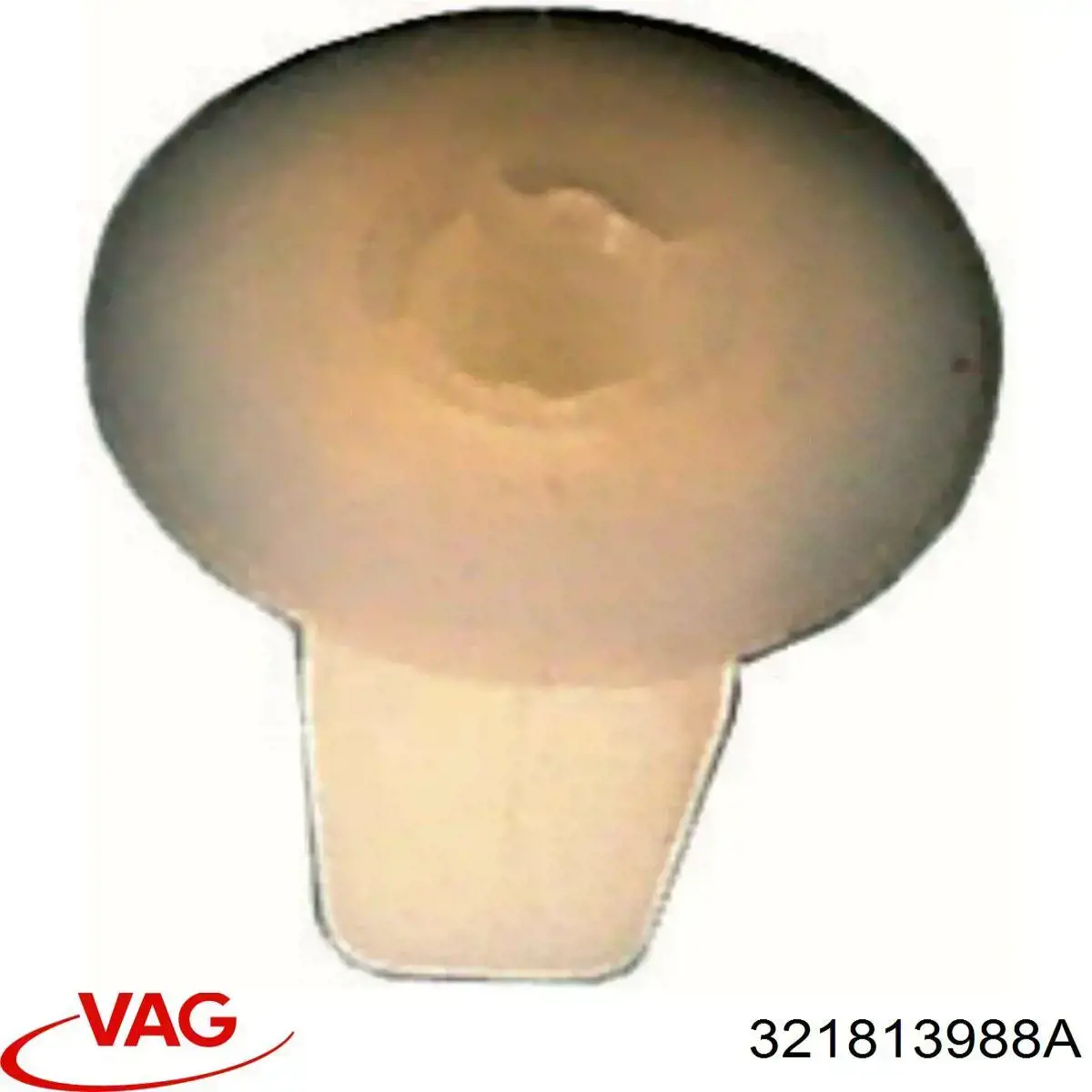  321813988A VAG