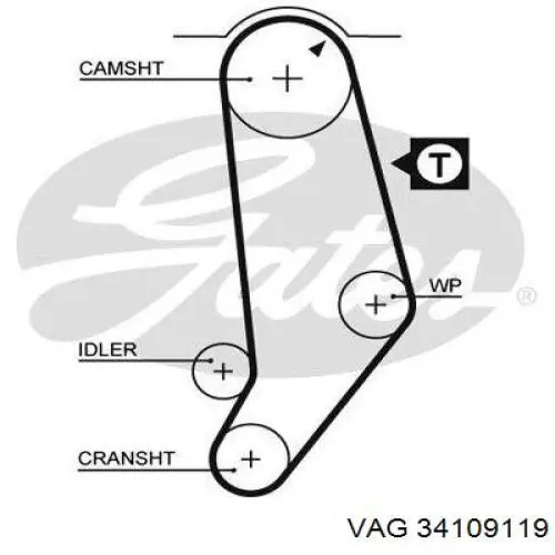 Ремень ГРМ 34109119 VAG