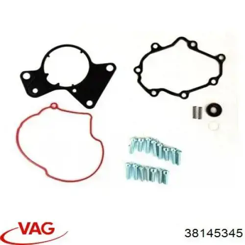 Прокладка вакуумного насоса 38145345 VAG