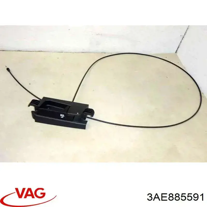 3AE885591 VAG 