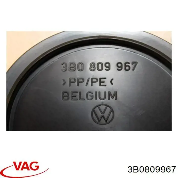 3B0809967 VAG Лючок подкрылка переднего левого