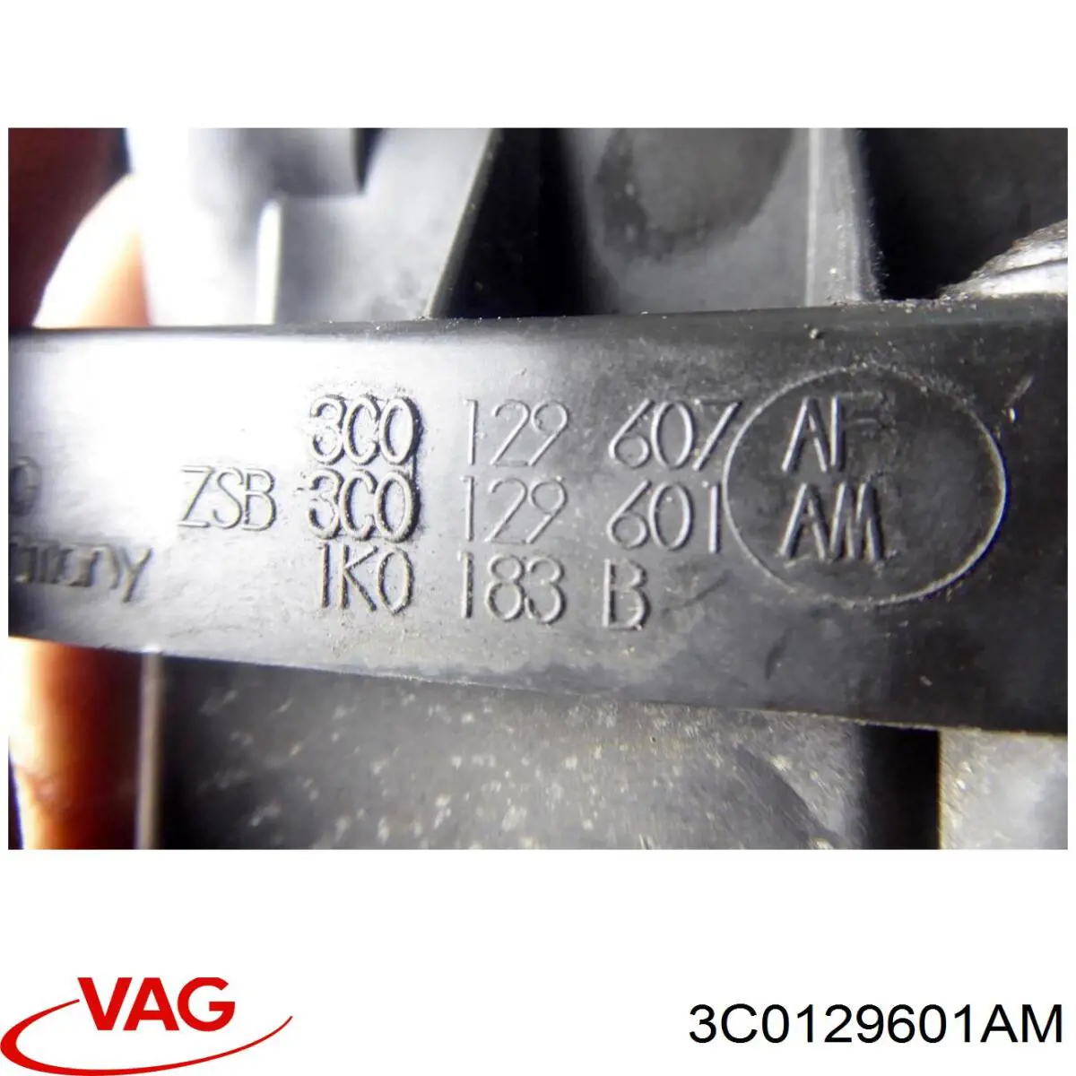 3C0129601AM VAG 