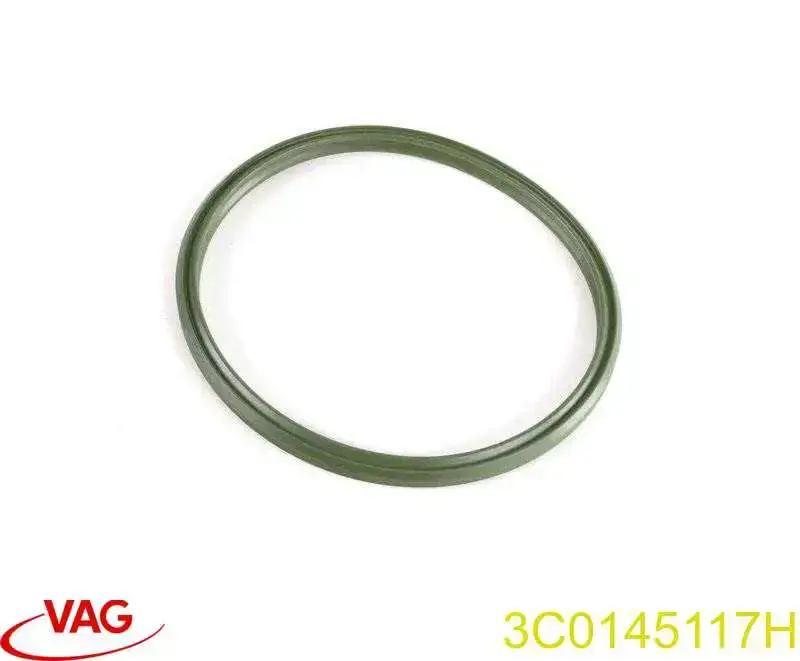 3C0145117H VAG уплотнительное кольцо (прокладка патрубка интеркуллера)