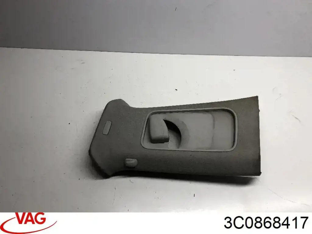  3C0868417 VAG
