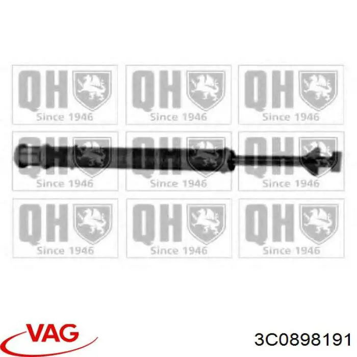 3C0898191 VAG
