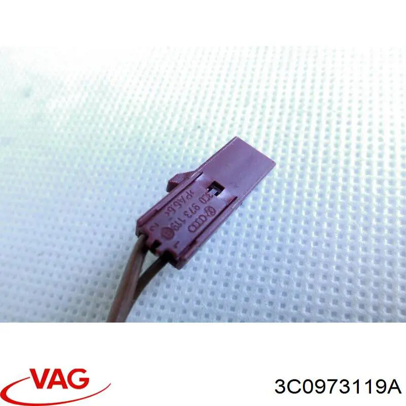 3C0973119A VAG 