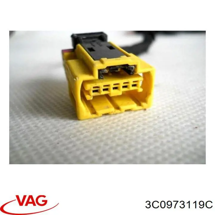  VAG 3C0973119C