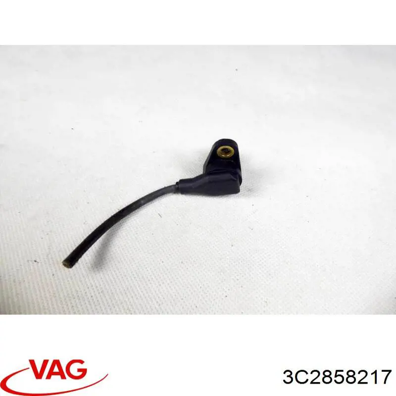 3C2858217 VAG 