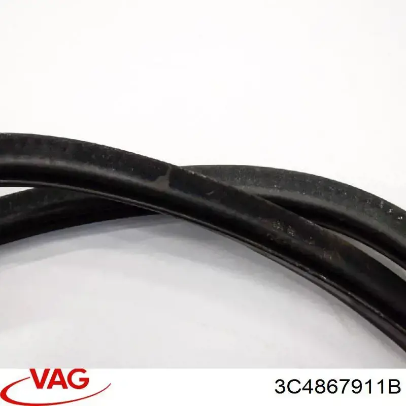 Купить 3C4867911B VAG 