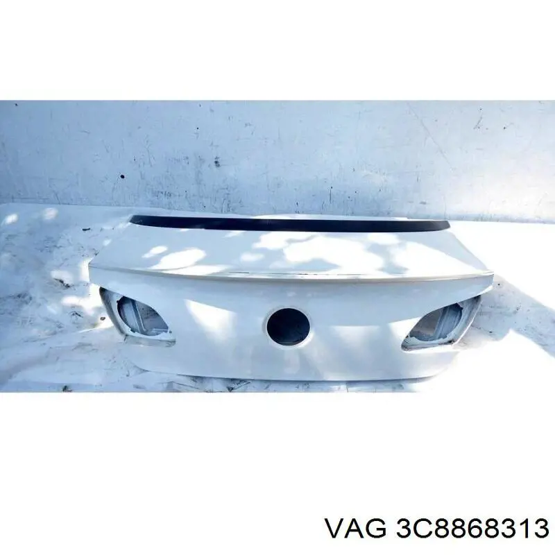  VAG 3C8868313