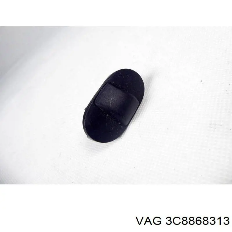 3C8868313 VAG 