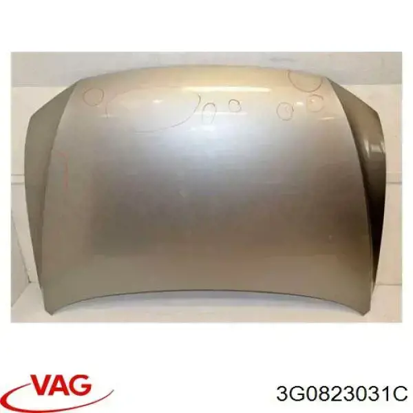 2249000 Diederichs Капот