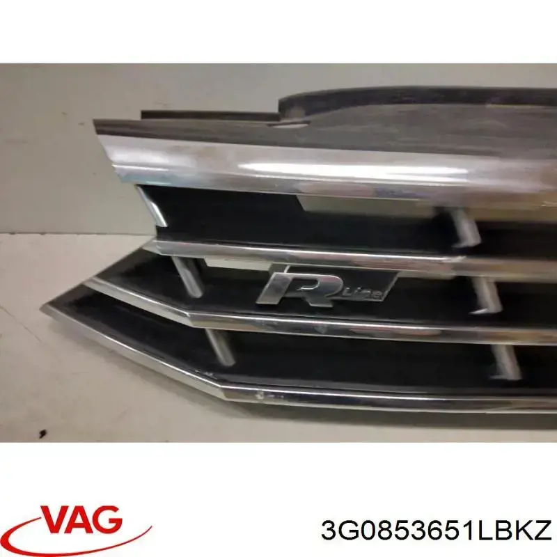 Купить 3G0853651LBKZ VAG Решетка радиатора