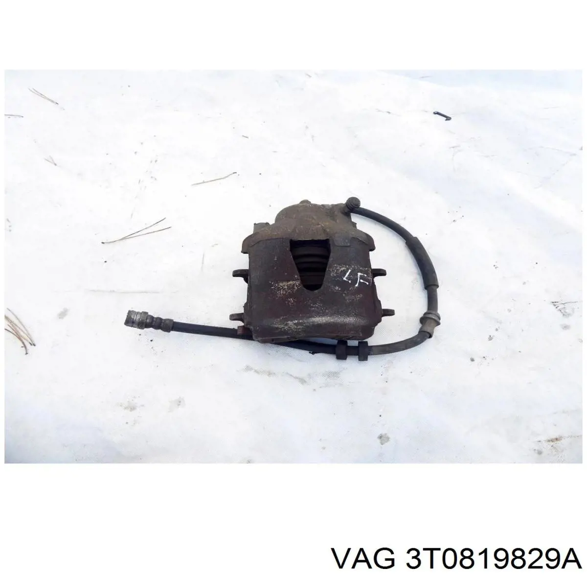  3T0819829A VAG