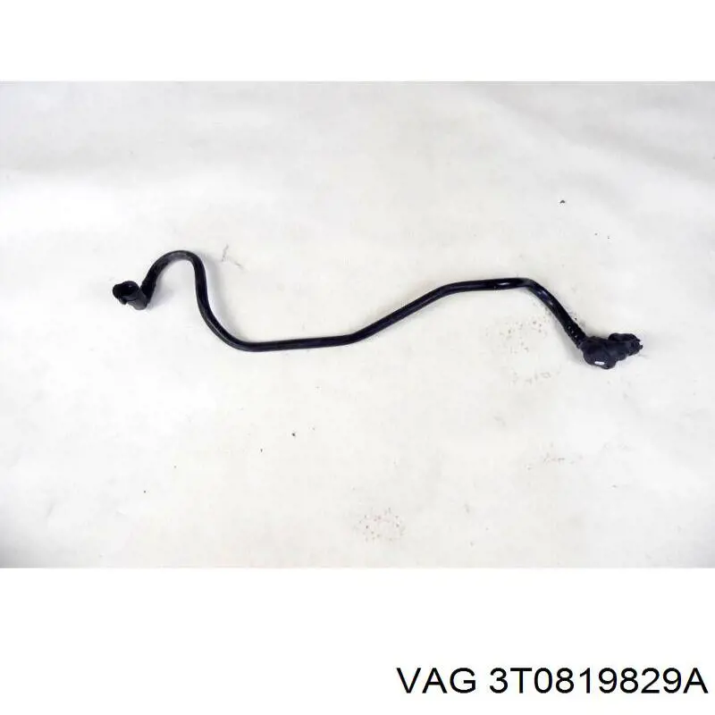  3T0819829A VAG