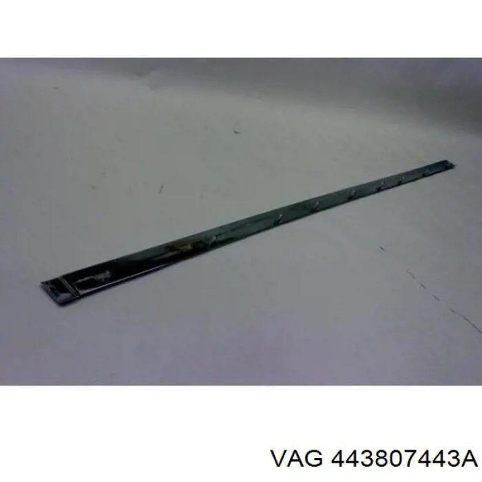 443807443A VAG 