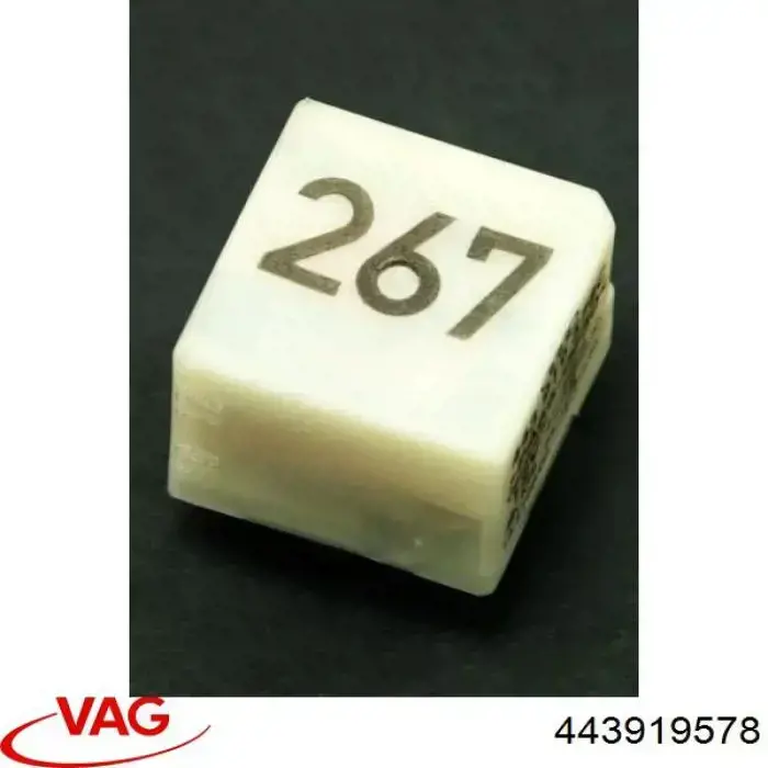 443919578 VAG 
