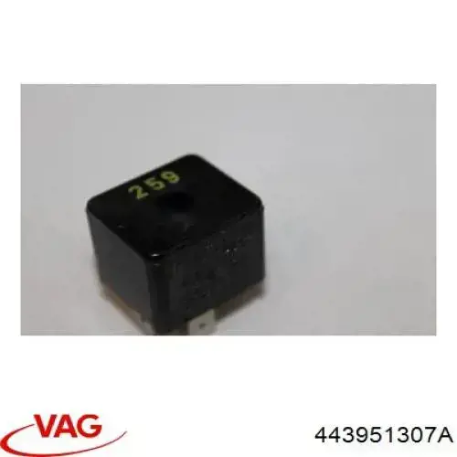 443951307A VAG 
