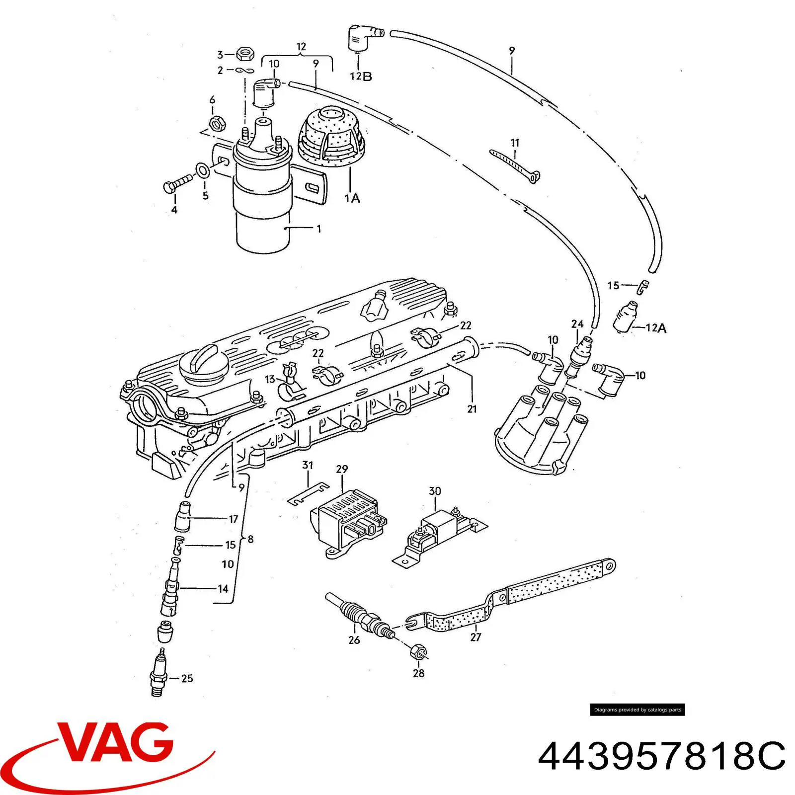 Купить 443957818C VAG 