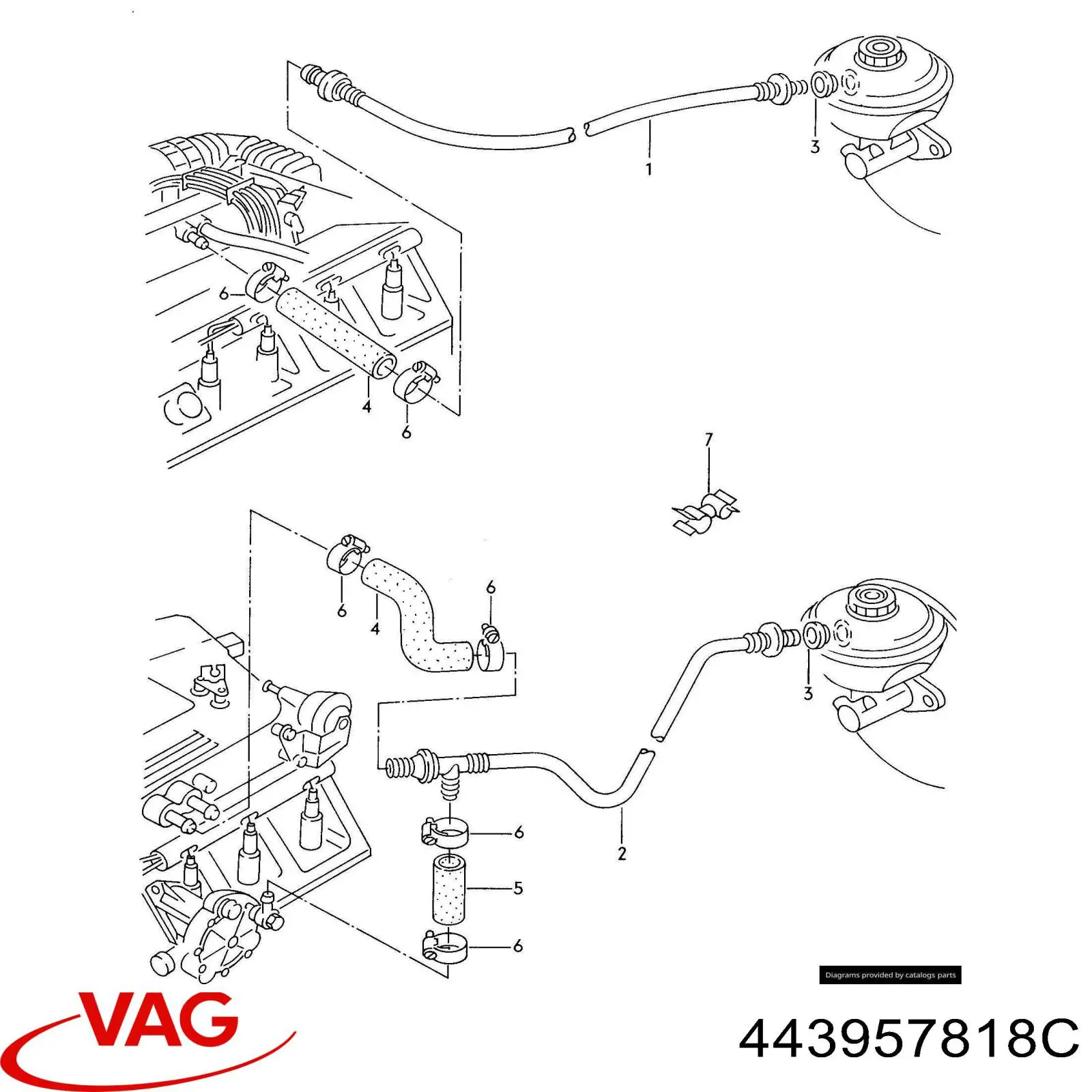 443957818C VAG
