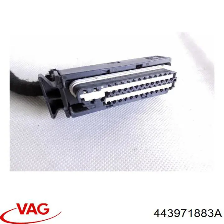 443971883A VAG 
