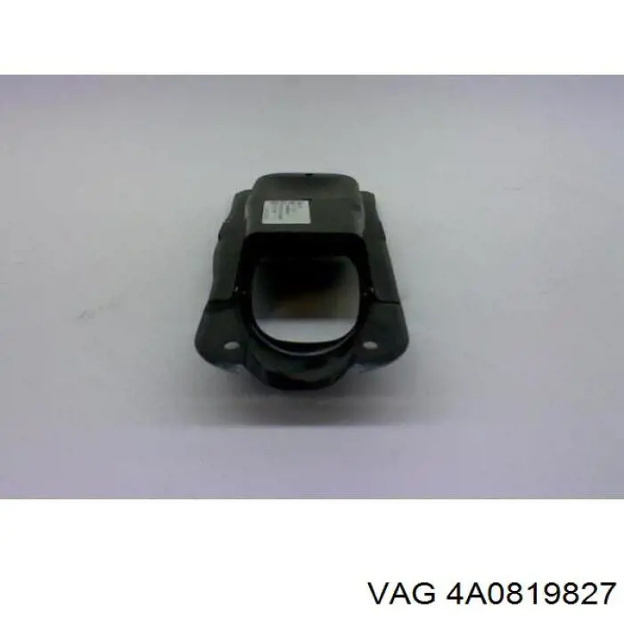  VAG 4A0819827