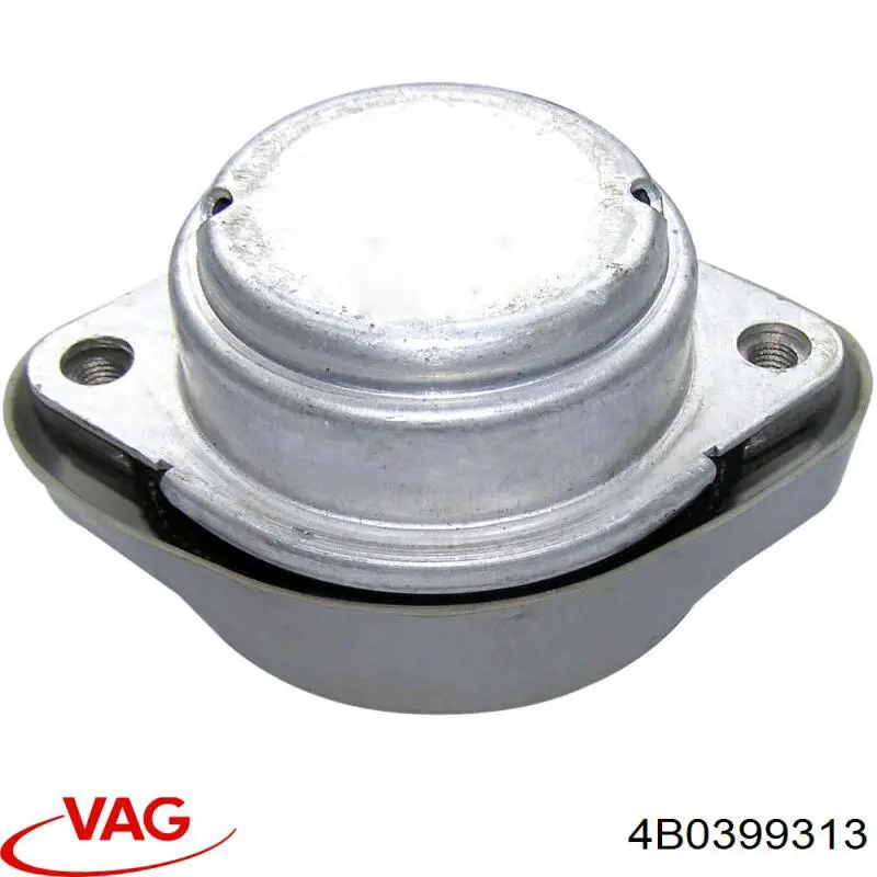 4B0399313 VAG 