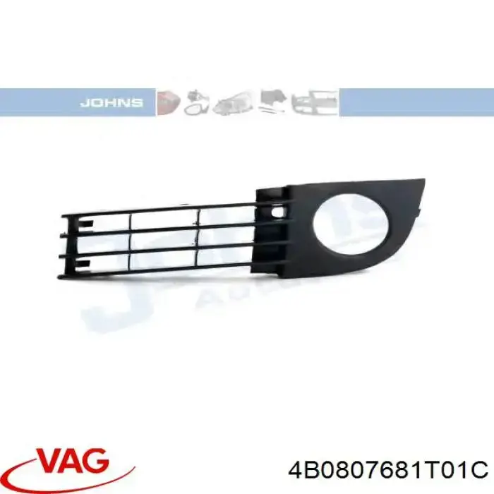 4B0807681T01C VAG заглушка (решетка противотуманных фар бампера переднего левая)
