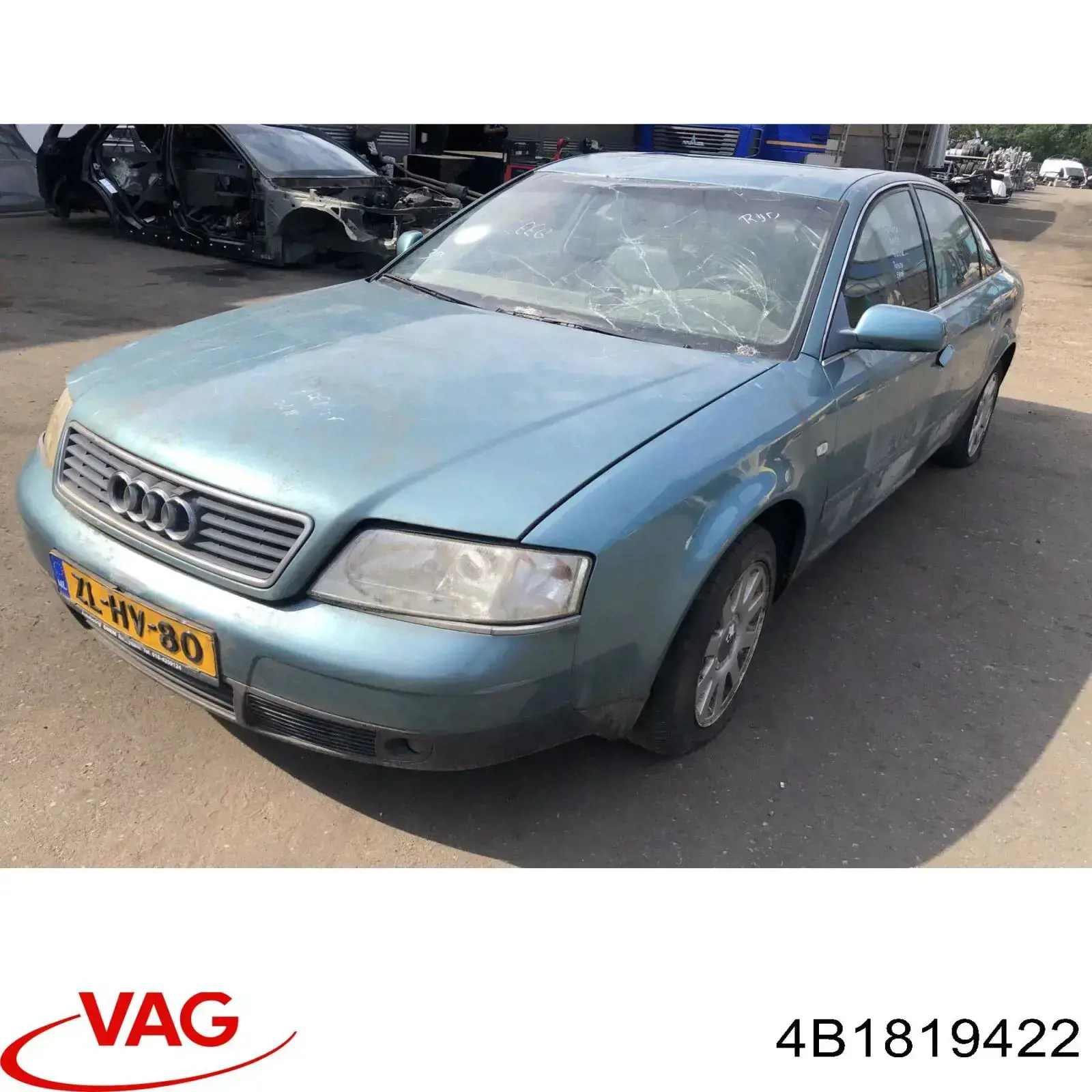  4B181942201C VAG