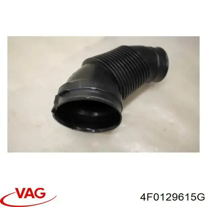  4F0129615G VAG