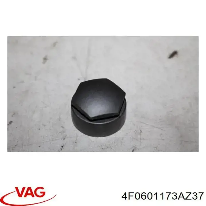  4F0601173AZ37 VAG