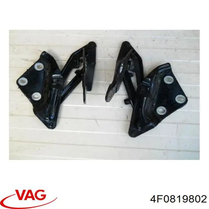  4F0819802 VAG
