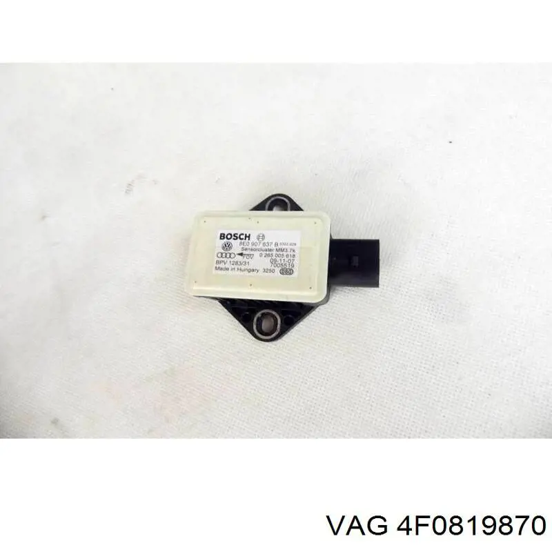 VAG 4F0819870