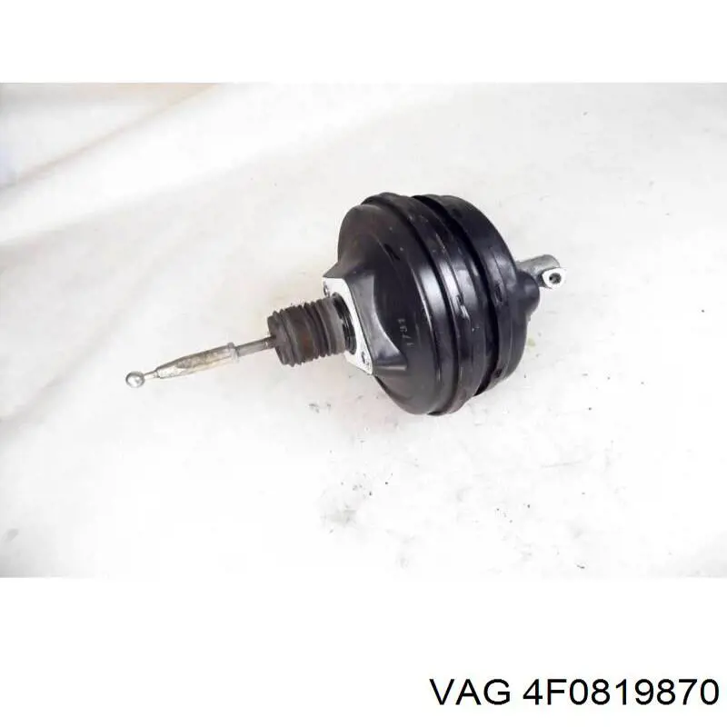  4F0819870 VAG