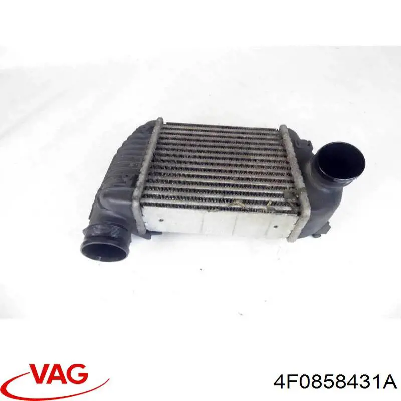  4F0858431A VAG