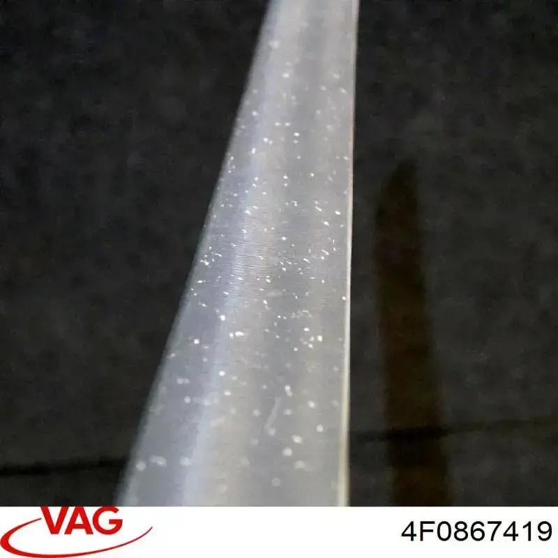  VAG 4F0867419