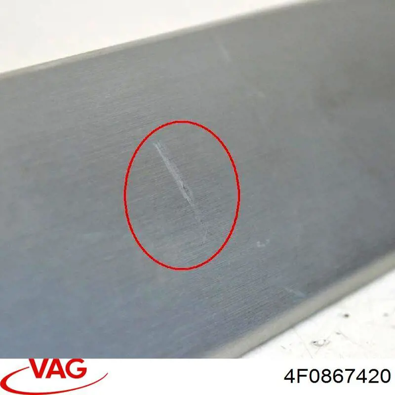  VAG 4F0867420