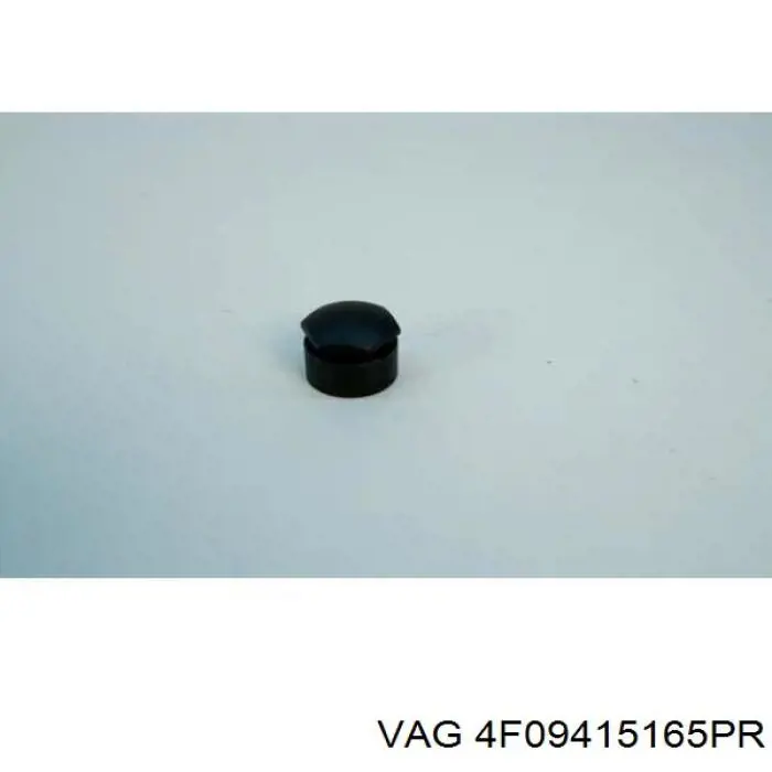  VAG 4F09415165PR