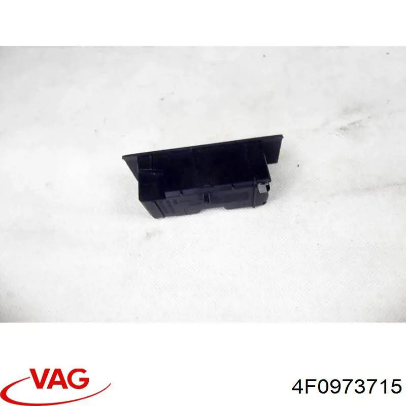 4F0973715 VAG 
