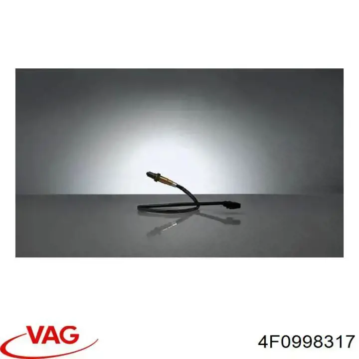  4F0998317 VAG