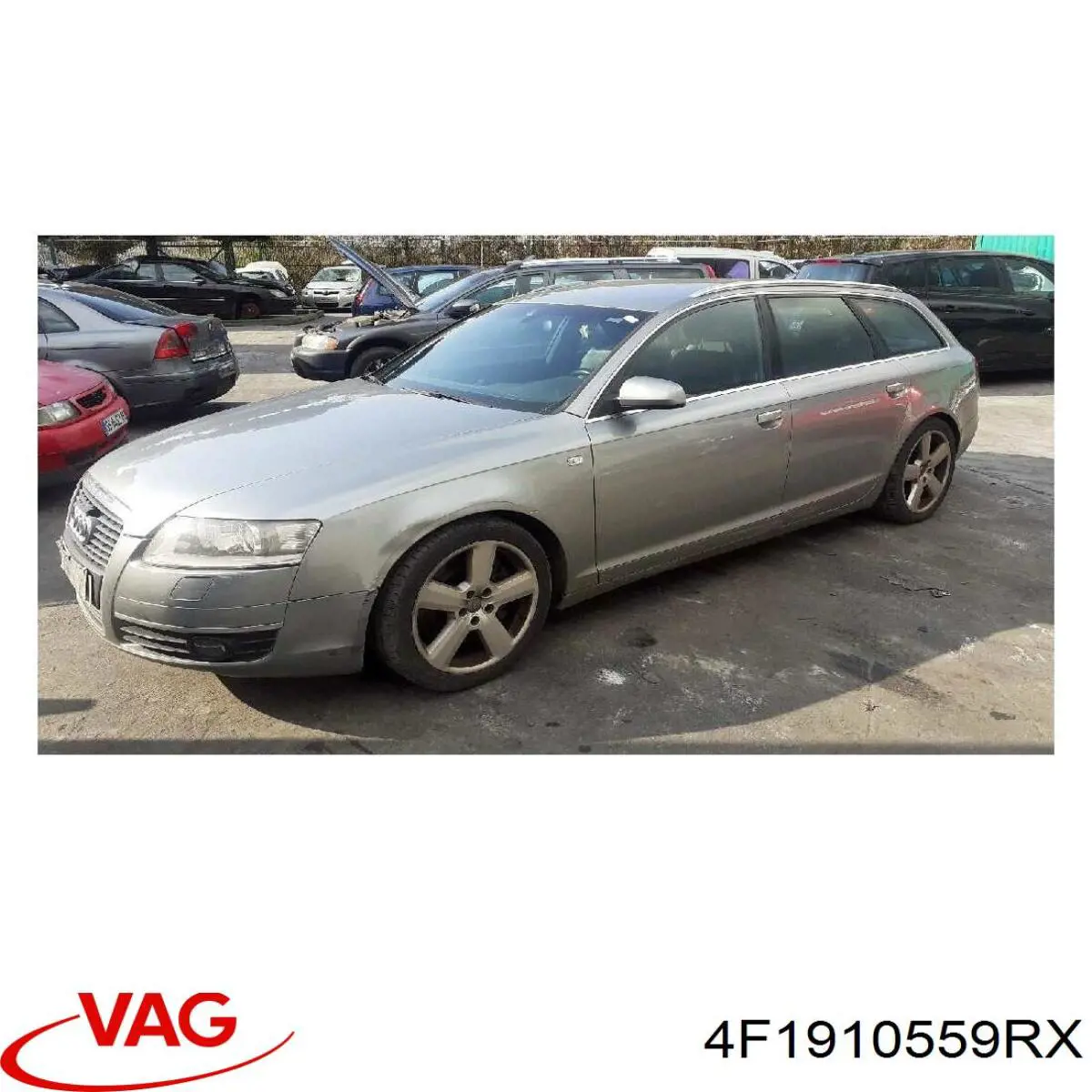 4F1910559R VAG Мозги двигателя