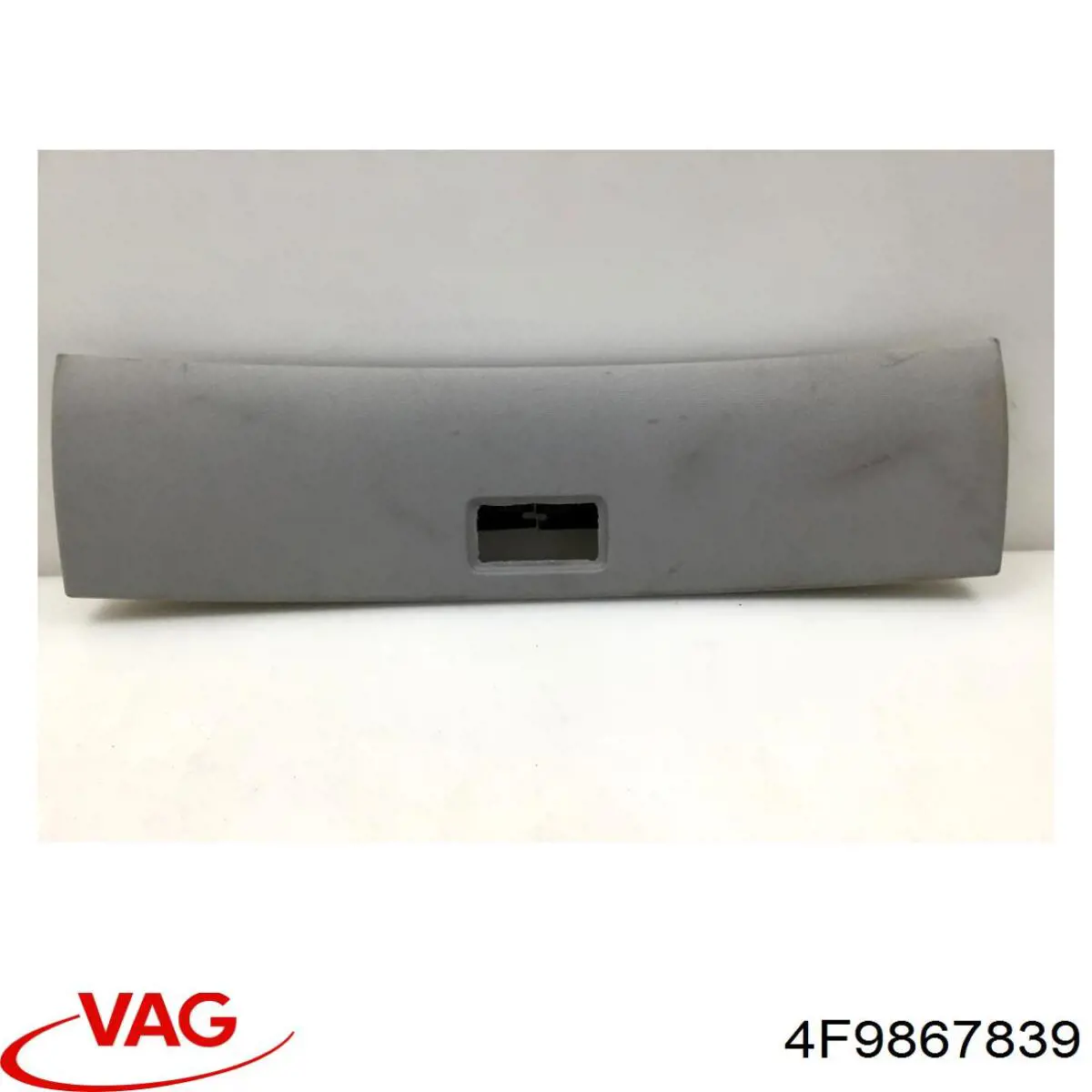 4F9867839 VAG 