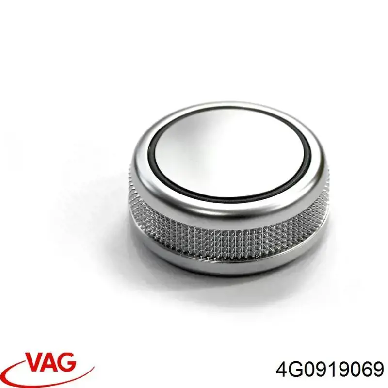 4G0919069 VAG 