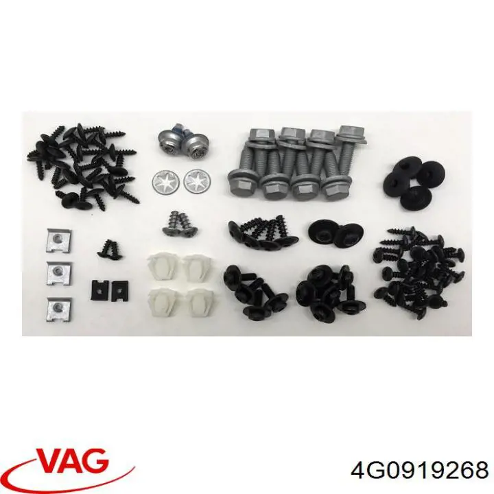  4G0919268 VAG