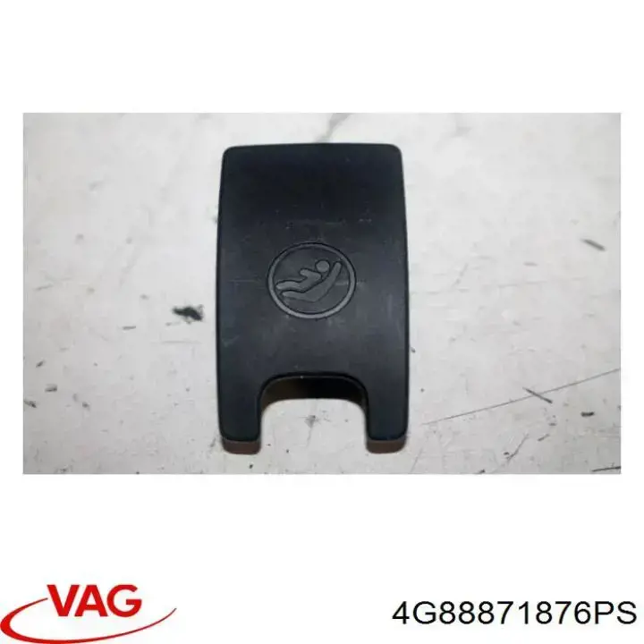 4G88871876PS VAG 