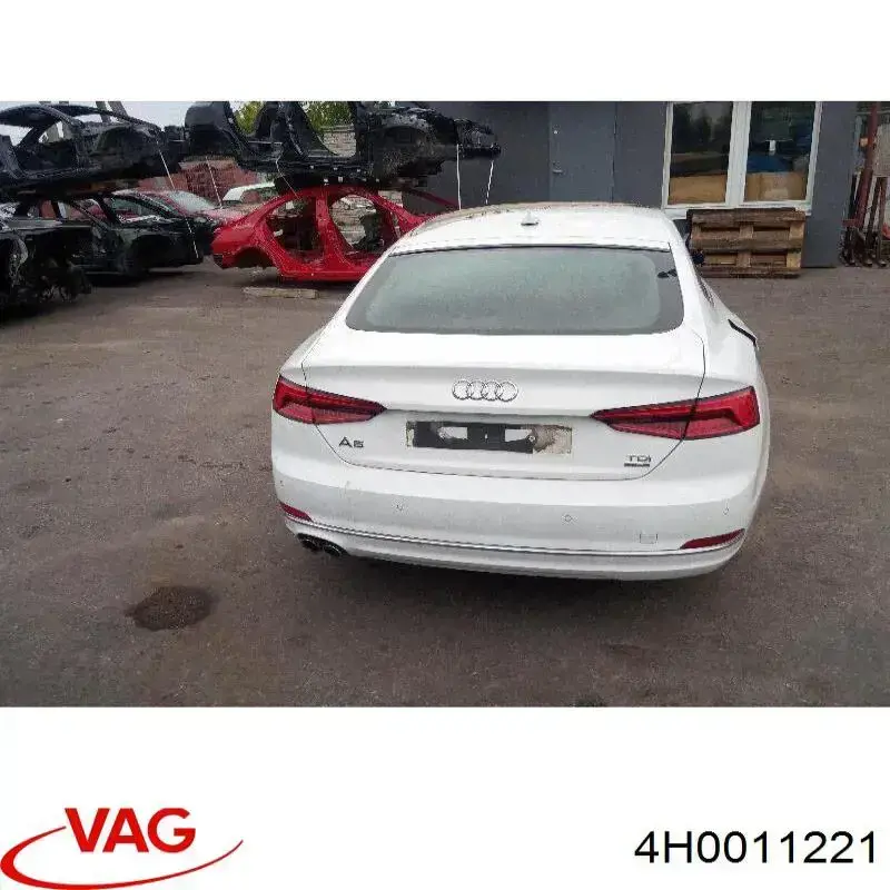 4H0011221 VAG 