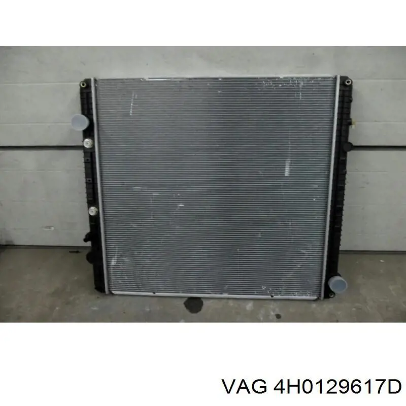 4H0129617D VAG 