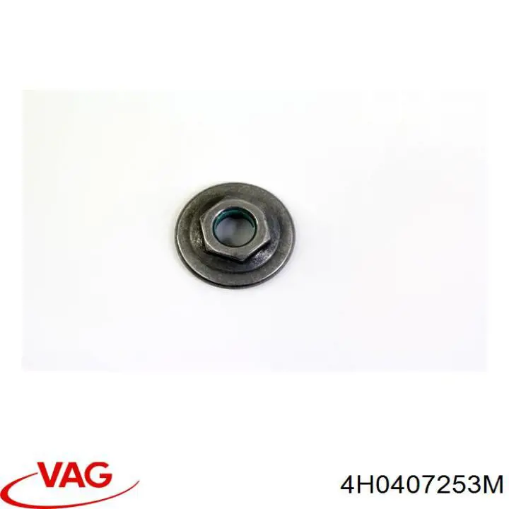 4H0407253G VAG 