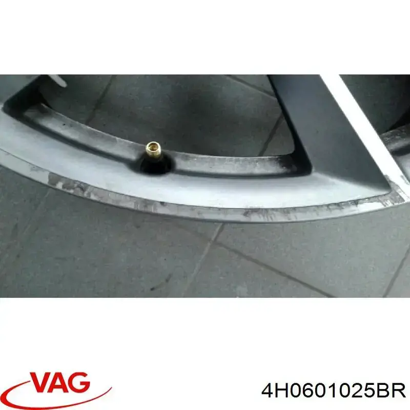 4H0601025BR VAG Оригинальные диски